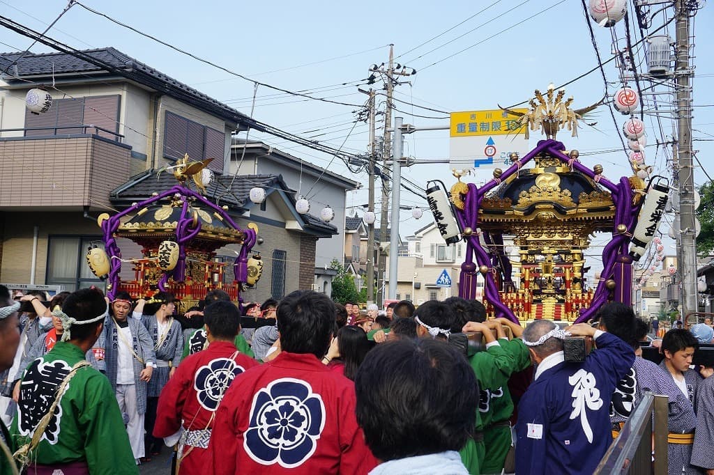 dsc05230.jpg