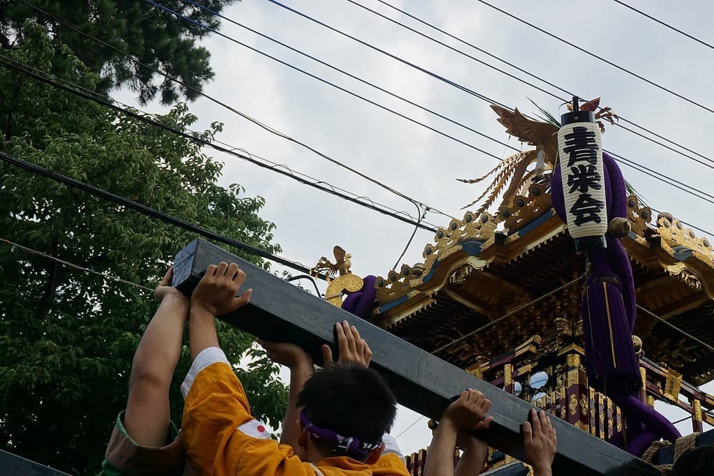 dsc05270.jpg