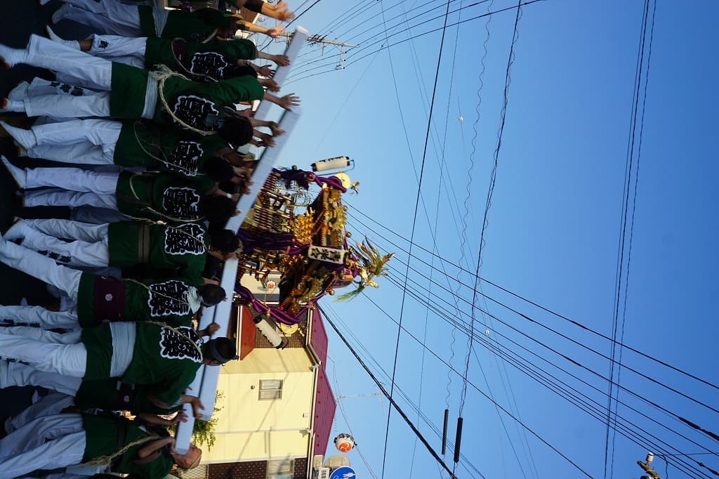 dsc05433.jpg