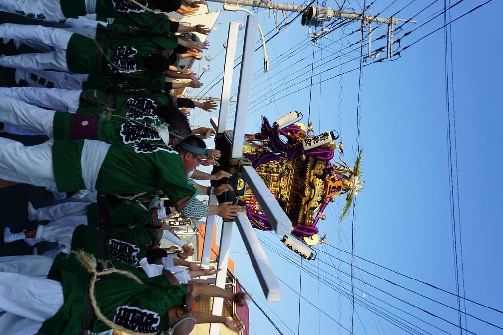 dsc05431.jpg